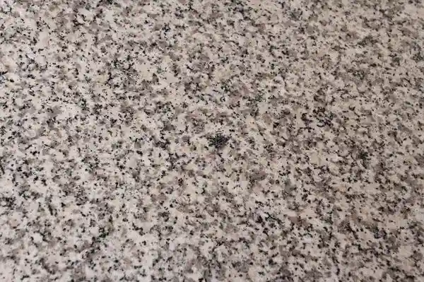 Luna Pearl Granite Countertop