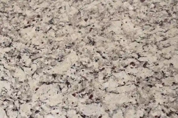 Santa Cecilia Light Granite Countertop