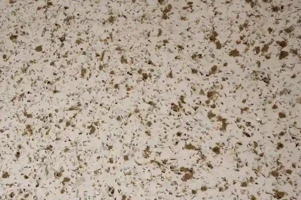 Beagle Bianco Quartz Countertop